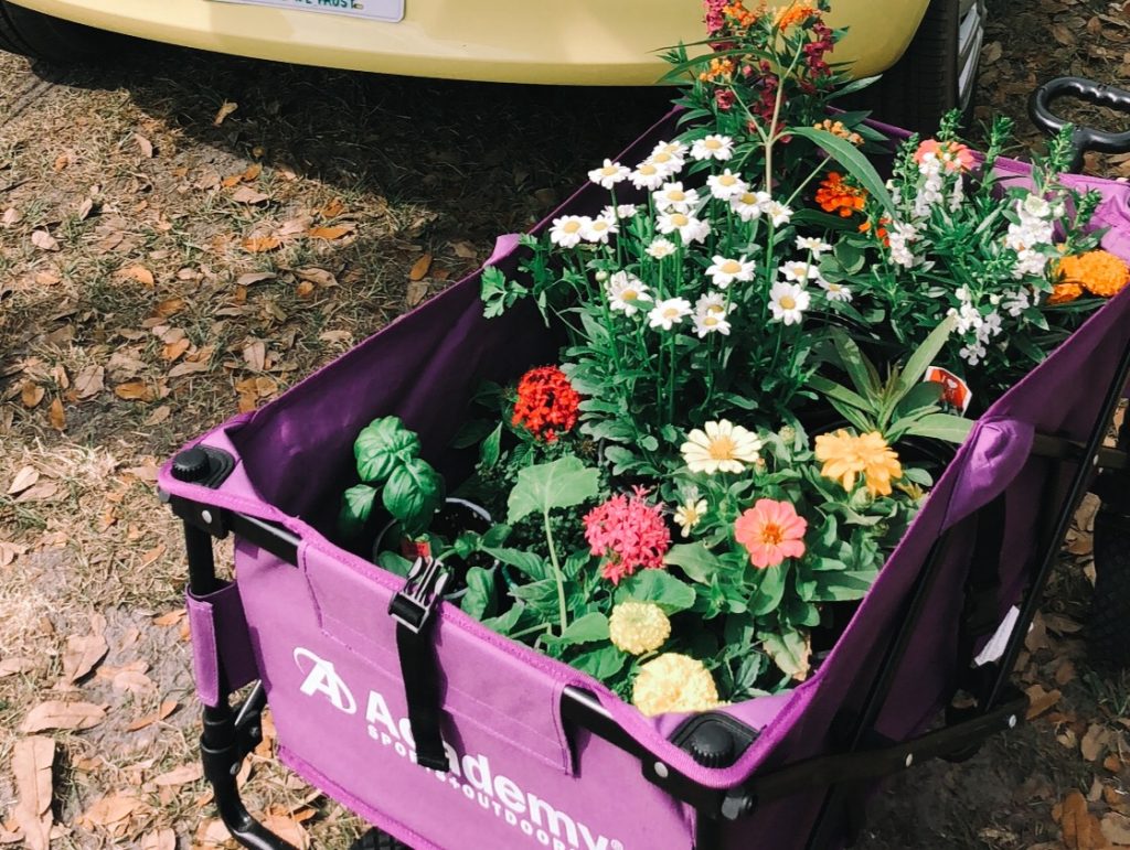 Cart Full of Plants